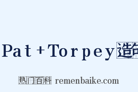 Pat+Torpey造句是什么意思的图片